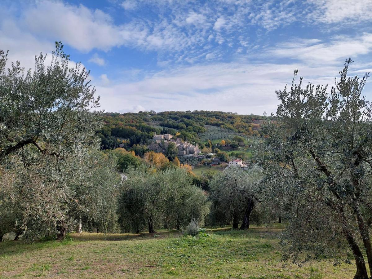 Agriturismo La Rocca Assisi Petrignano Exterior photo